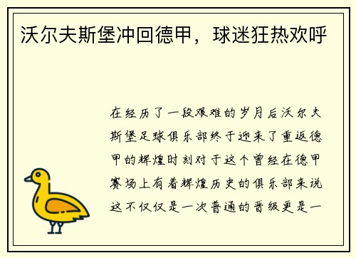 沃尔夫斯堡冲回德甲，球迷狂热欢呼